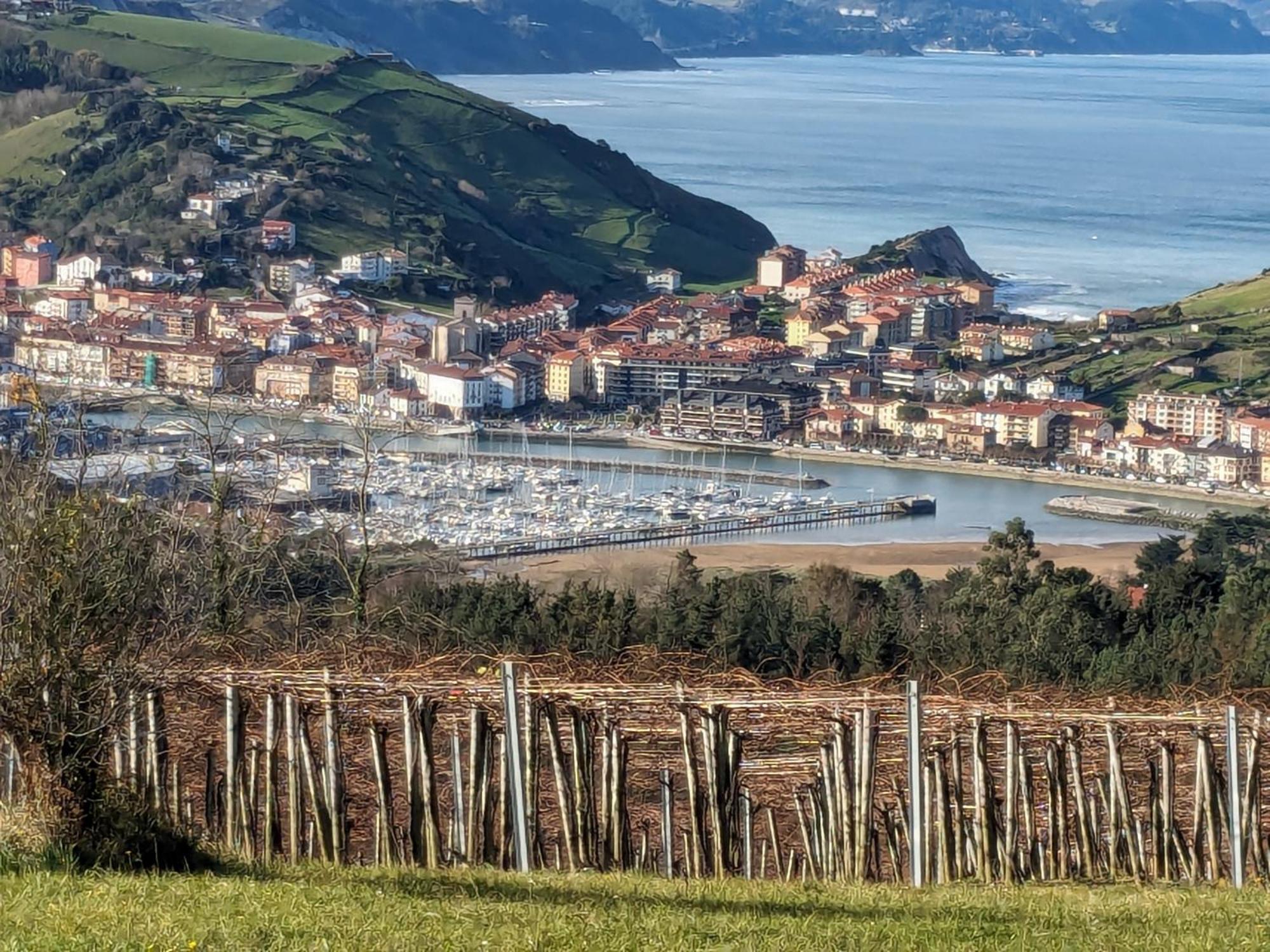 Zumaia Basque Alai 아파트 외부 사진